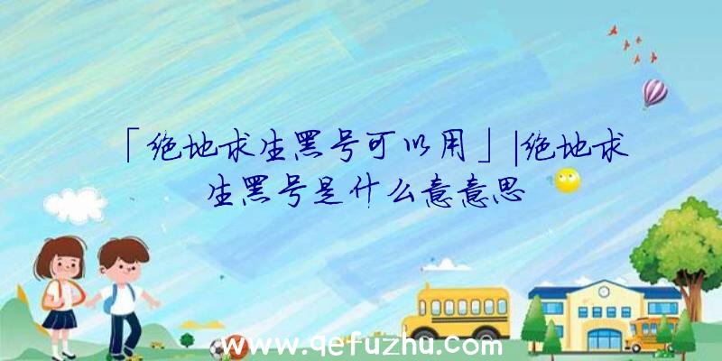 「绝地求生黑号可以用」|绝地求生黑号是什么意意思